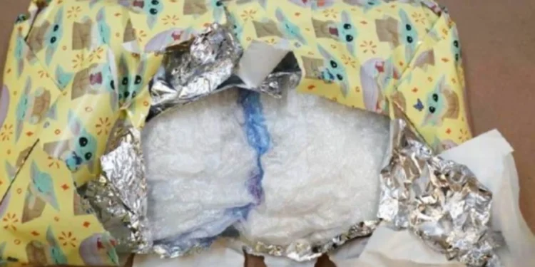 വാങ്കൂവർ വിമാനത്താവളത്തിൽ 149 കിലോ മെത്ത് പിടികൂടി