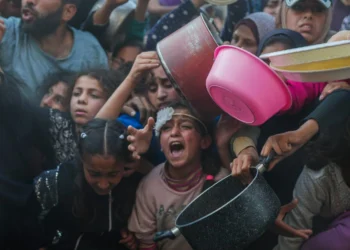 ഗാസയിൽ ഭക്ഷണം ധാരാളമുണ്ടെന്ന് ഇസ്രായേൽ; പരിഹാസകരമെന്ന് UN മറുപടി