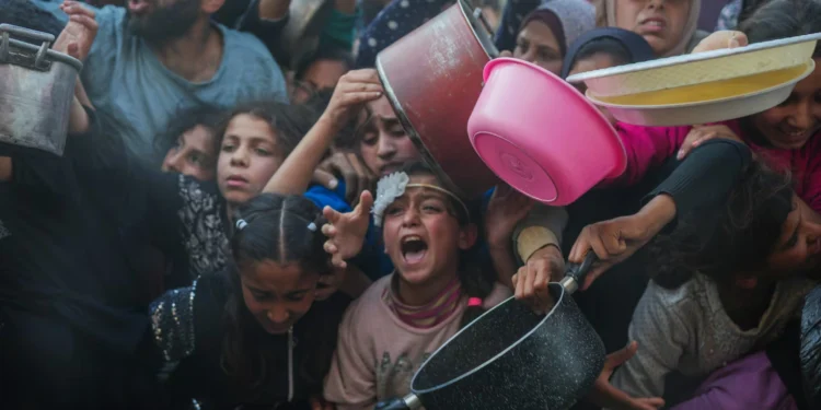 ഗാസയിൽ ഭക്ഷണം ധാരാളമുണ്ടെന്ന് ഇസ്രായേൽ; പരിഹാസകരമെന്ന് UN മറുപടി 1 ഗാസയിൽ ഭക്ഷണം ധാരാളമുണ്ടെന്ന് ഇസ്രായേൽ; പരിഹാസകരമെന്ന് UN മറുപടി