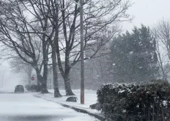 ടൊറോന്റോയിൽ മഞ്ഞുവീഴ്ച