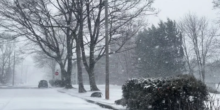 ടൊറോന്റോയിൽ മഞ്ഞുവീഴ്ച