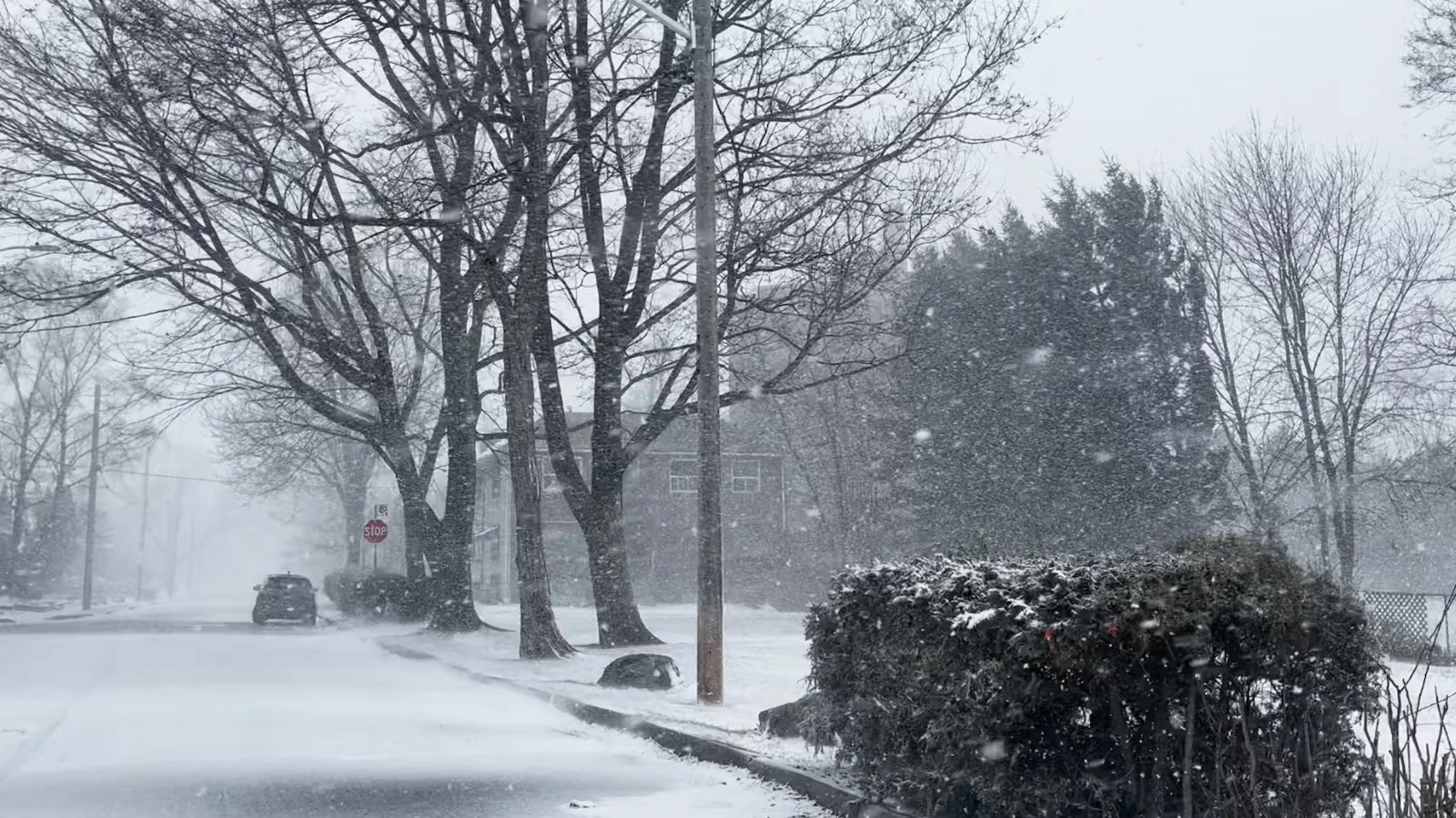 ടൊറോന്റോയിൽ മഞ്ഞുവീഴ്ച