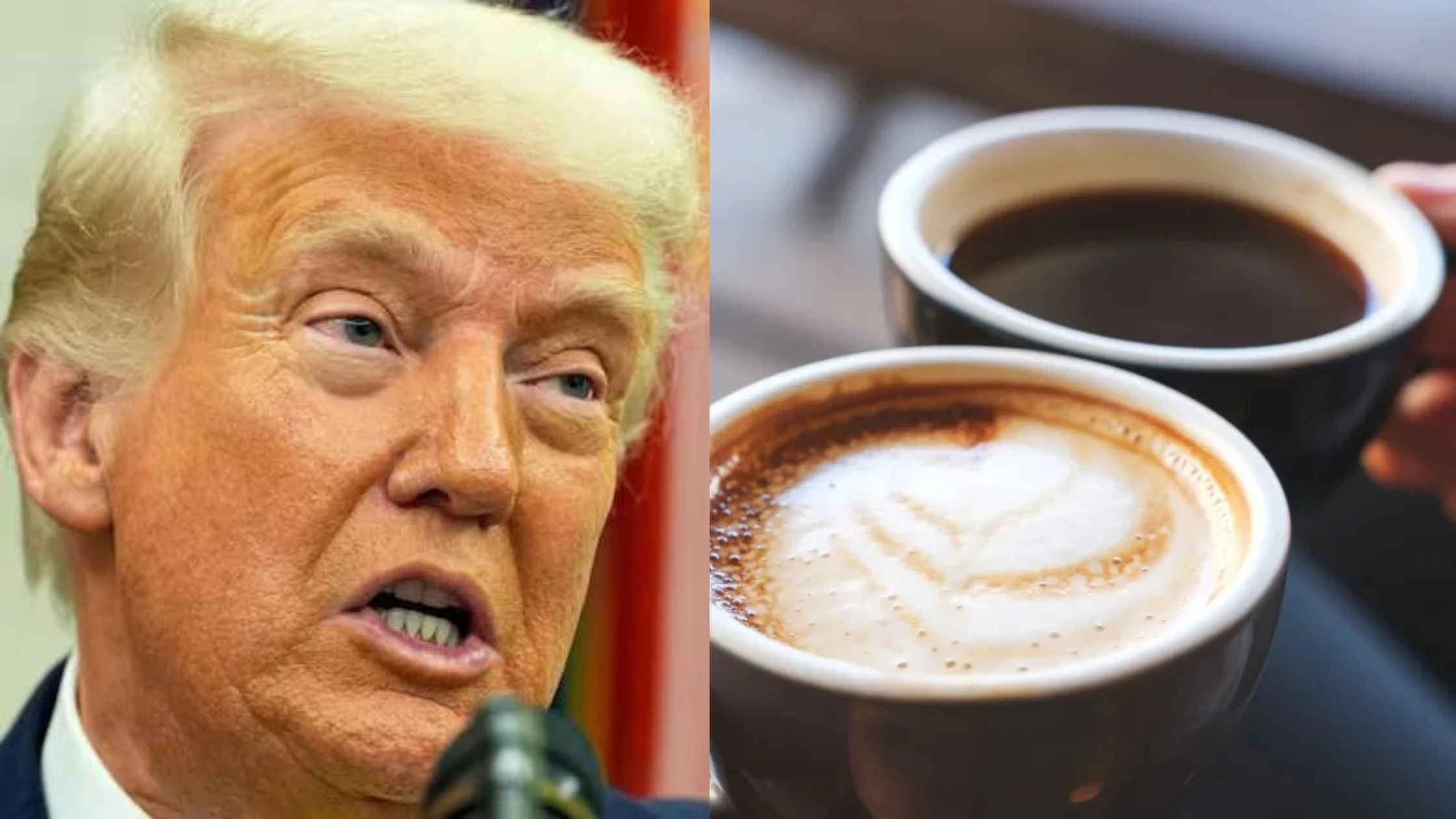 യു.എസ് താരിഫുകൾ കാരണം നിങ്ങളുടെ കോഫിക്ക് കൂടുതൽ വില നൽകേണ്ടി വരും