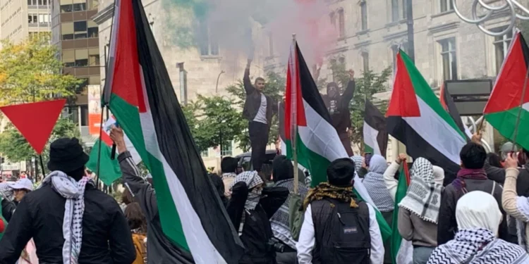 മക്ഗിൽ കാമ്പസിൽ പലസ്തീൻ അനുകൂല പ്രതിഷേധം; വിദ്യാർത്ഥി യൂണിയനെ ഒഴിവാക്കുമെന്ന് സർവകലാശാല 1 മക്ഗിൽ കാമ്പസിൽ പലസ്തീൻ അനുകൂല പ്രതിഷേധം; വിദ്യാർത്ഥി യൂണിയനെ ഒഴിവാക്കുമെന്ന് സർവകലാശാല