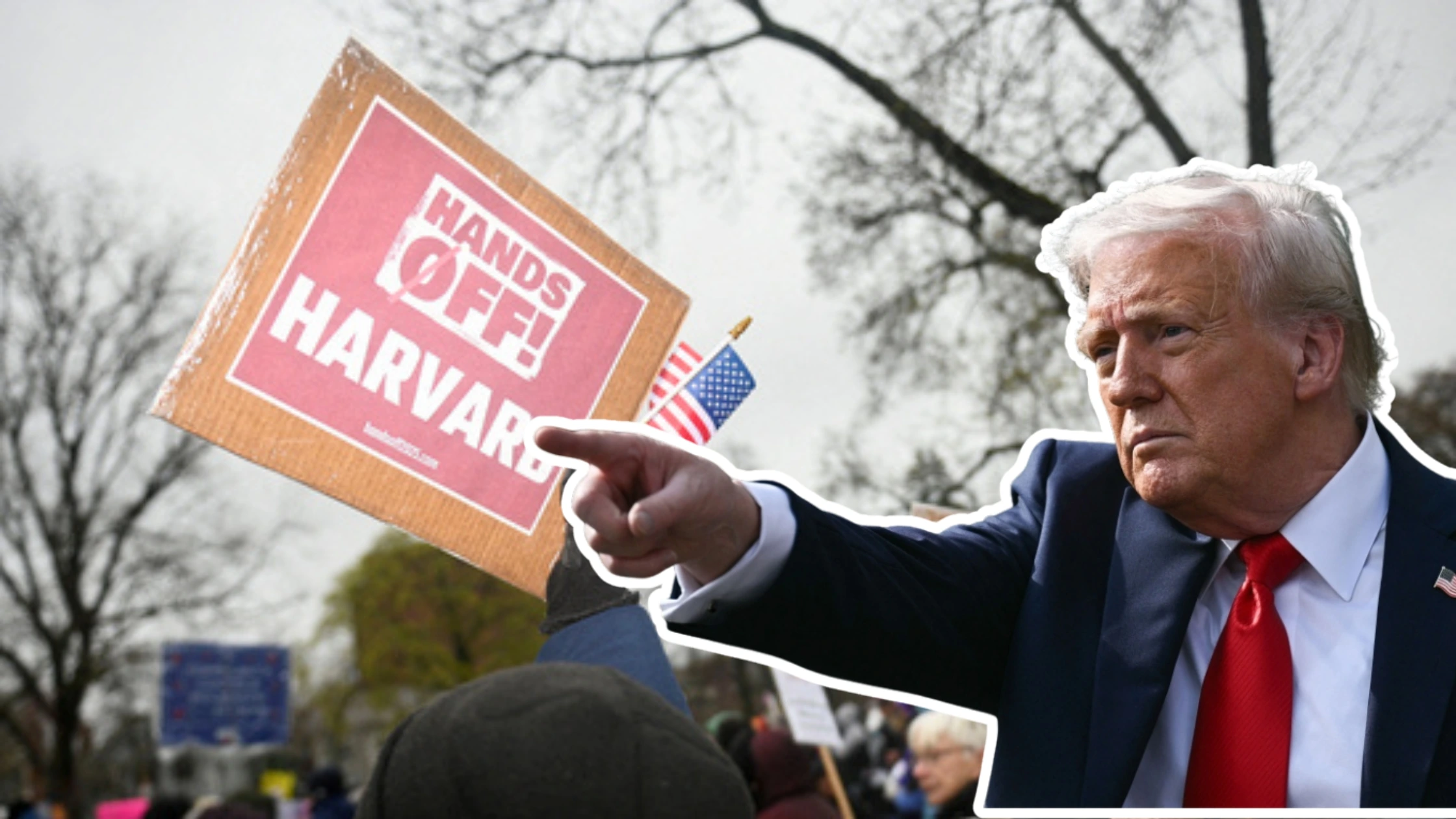 കാമ്പസ് ആക്ടിവിസത്തിന്റെ പേരിൽ ഹാർവാർഡിനെ നിയന്ത്രിക്കാൻ ട്രംപ് സർക്കാർ