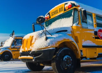 ടിമ്മിൻസിലും പരിസരങ്ങളിലും ഇന്ന് സ്കൂൾ ബസുകൾ ഓടില്ല