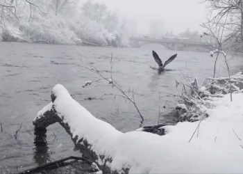 ഒട്ടാവയിൽ റെക്കോർഡ് തണുപ്പ്; ചരിത്രത്തിലെ ഏറ്റവും തണുപ്പുള്ള ഏപ്രിൽ 9 ആണിത്