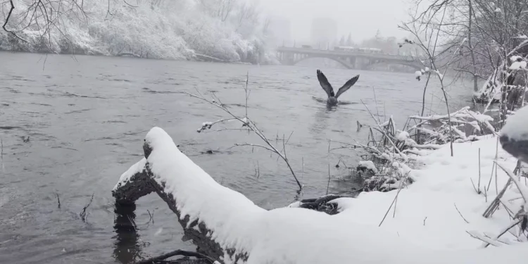 ഒട്ടാവയിൽ റെക്കോർഡ് തണുപ്പ്; ചരിത്രത്തിലെ ഏറ്റവും തണുപ്പുള്ള ഏപ്രിൽ 9 ആണിത്