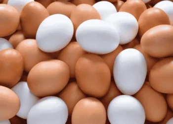 അമേരിക്കയിൽ മുട്ടവില റെക്കോർഡ് ഉയരത്തിൽ !