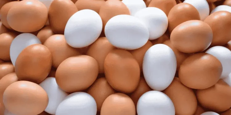 അമേരിക്കയിൽ മുട്ടവില റെക്കോർഡ് ഉയരത്തിൽ !