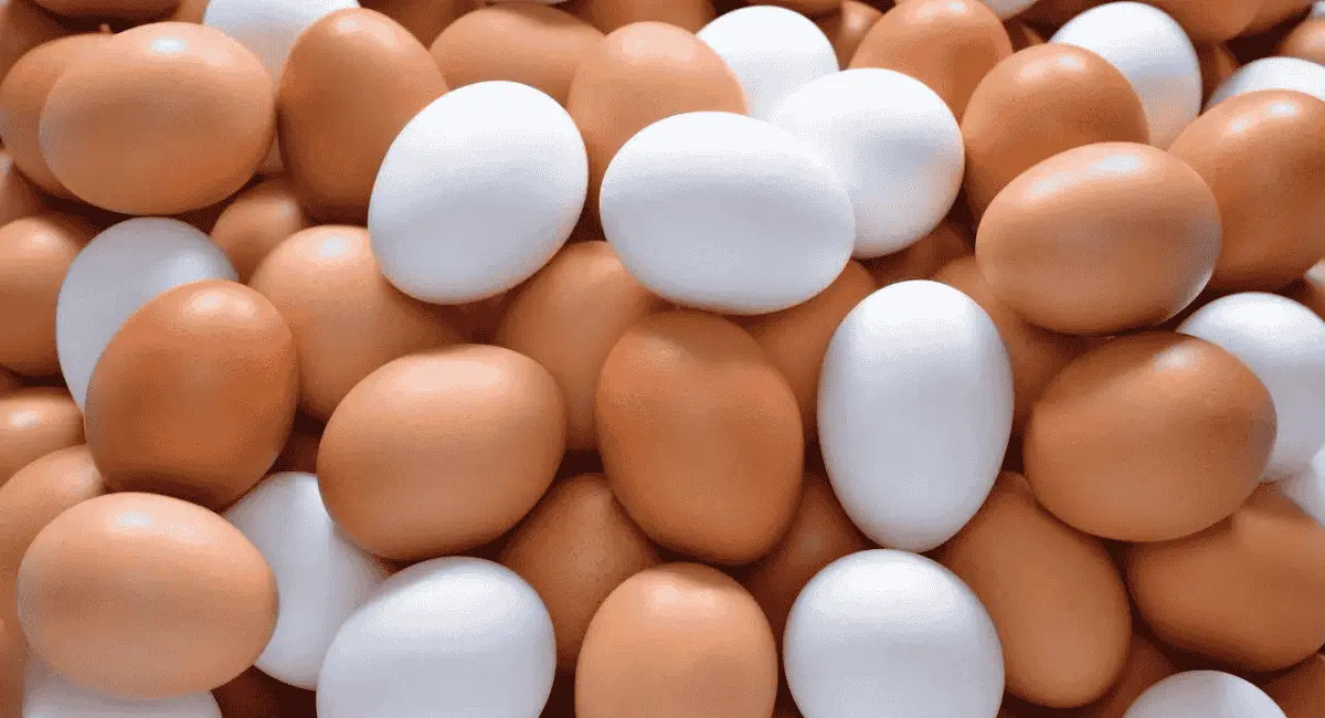 അമേരിക്കയിൽ മുട്ടവില റെക്കോർഡ് ഉയരത്തിൽ !