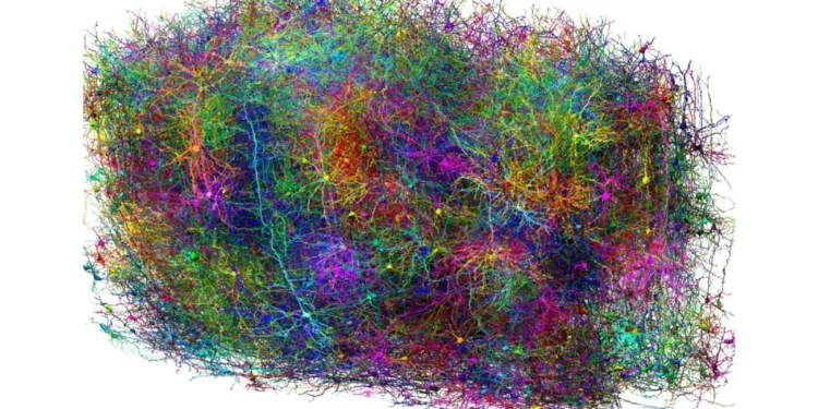 മസ്തിഷ്കത്തിന്റെ രഹസ്യങ്ങൾ വെളിപ്പെടുത്തുന്ന അത്ഭുത 3D സ്കാൻ 1 മസ്തിഷ്കത്തിന്റെ രഹസ്യങ്ങൾ വെളിപ്പെടുത്തുന്ന അത്ഭുത 3D സ്കാൻ