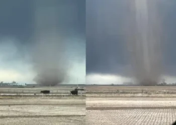 2025-ലെ കാനഡയിലെ ആദ്യ ചുഴലിക്കാറ്റ് southern-ആൽബെർട്ടയിൽ രേഖപ്പെടുത്തി