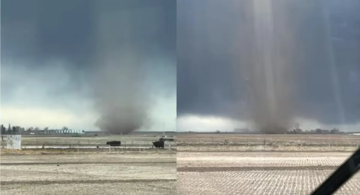 2025-ലെ കാനഡയിലെ ആദ്യ ചുഴലിക്കാറ്റ് southern-ആൽബെർട്ടയിൽ രേഖപ്പെടുത്തി