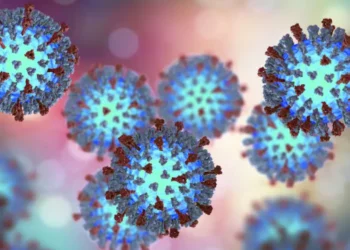 പുതിയ കേസുകളില്ലാതെ ക്യുബെക്ക്;മീസൽസ് പകർച്ചവ്യാധി അവസാനിച്ചതായി ആരോഗ്യവകുപ്പ് 8 പുതിയ കേസുകളില്ലാതെ ക്യുബെക്ക്;മീസൽസ് പകർച്ചവ്യാധി അവസാനിച്ചതായി ആരോഗ്യവകുപ്പ്