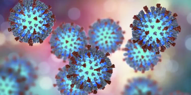 പുതിയ കേസുകളില്ലാതെ ക്യുബെക്ക്;മീസൽസ് പകർച്ചവ്യാധി അവസാനിച്ചതായി ആരോഗ്യവകുപ്പ്