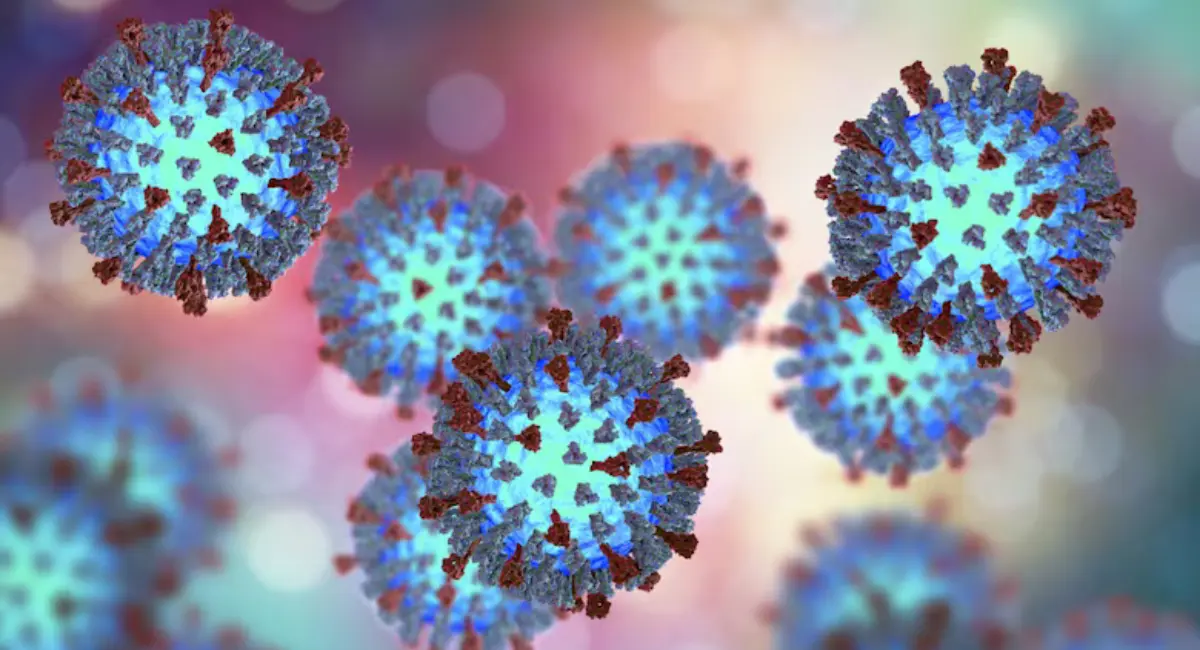 പുതിയ കേസുകളില്ലാതെ ക്യുബെക്ക്;മീസൽസ് പകർച്ചവ്യാധി അവസാനിച്ചതായി ആരോഗ്യവകുപ്പ്