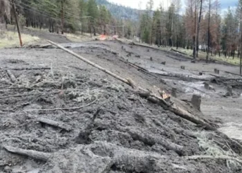 ലേക്ക് ഒകനാഗണിൽ മണ്ണിടിച്ചിൽ