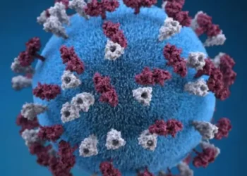 ഒന്റാറിയോയിൽ 89 പുതിയ മീസിൽസ് കേസുകൾ