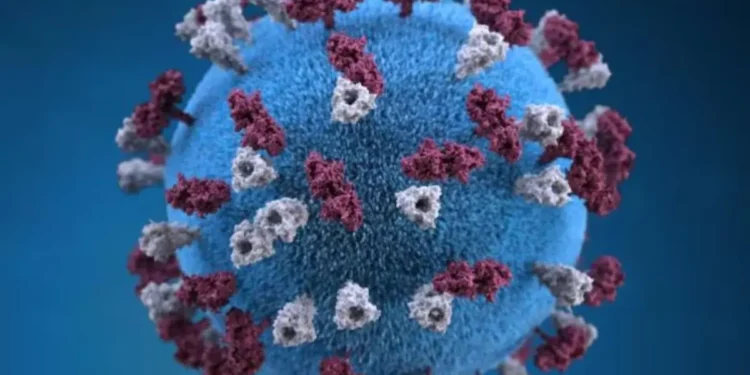 ഒന്റാറിയോയിൽ 89 പുതിയ മീസിൽസ് കേസുകൾ