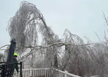 16,700-ലധികം ഉപഭോക്താക്കൾക്ക് ഇപ്പോഴും വൈദ്യുതി ലഭിച്ചിട്ടില്ല