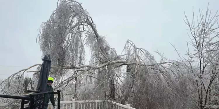 16,700-ലധികം ഉപഭോക്താക്കൾക്ക് ഇപ്പോഴും വൈദ്യുതി ലഭിച്ചിട്ടില്ല 1 16,700-ലധികം ഉപഭോക്താക്കൾക്ക് ഇപ്പോഴും വൈദ്യുതി ലഭിച്ചിട്ടില്ല