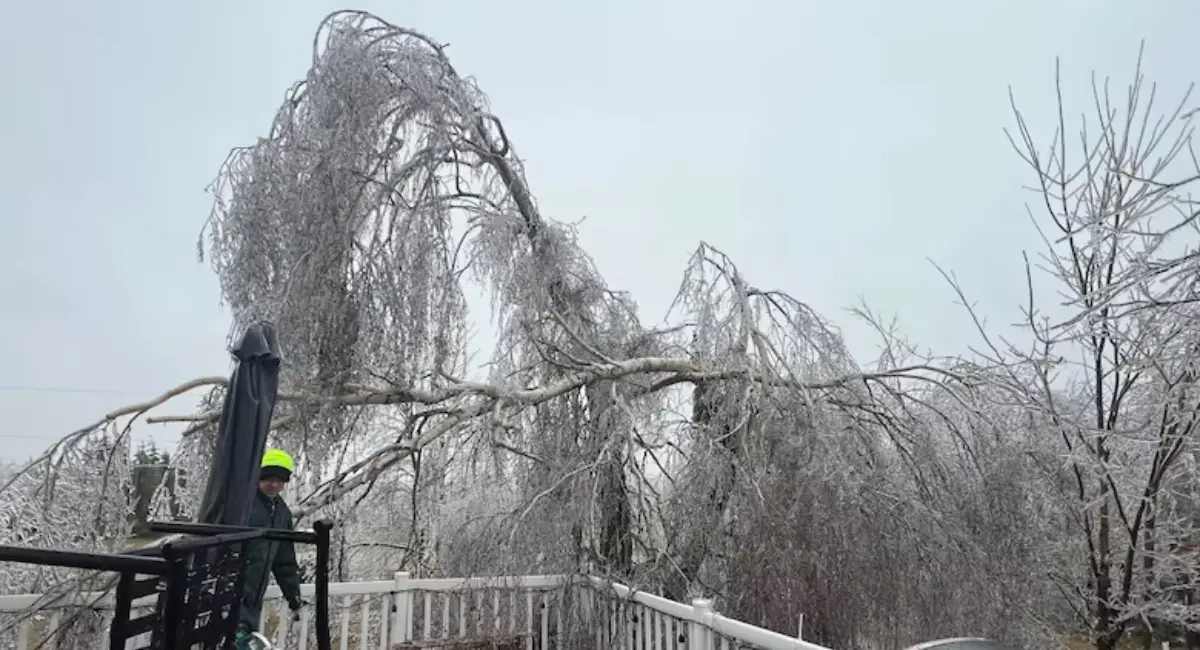 16,700-ലധികം ഉപഭോക്താക്കൾക്ക് ഇപ്പോഴും വൈദ്യുതി ലഭിച്ചിട്ടില്ല