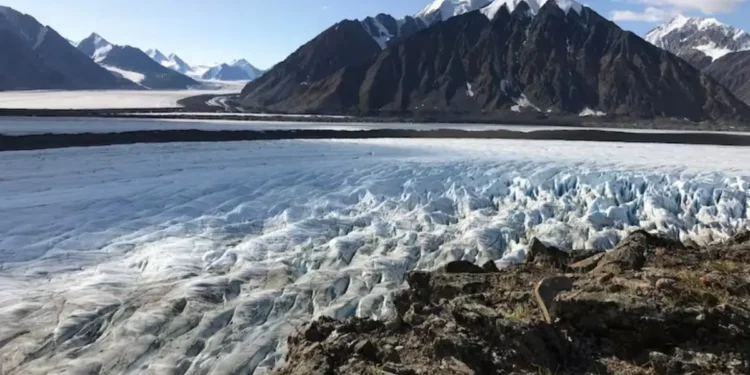 കാലാവസ്ഥാ വ്യതിയാനം യുക്കോൺ തിരഞ്ഞെടുപ്പിൽ പ്രധാന വിഷയമാകുന്നു