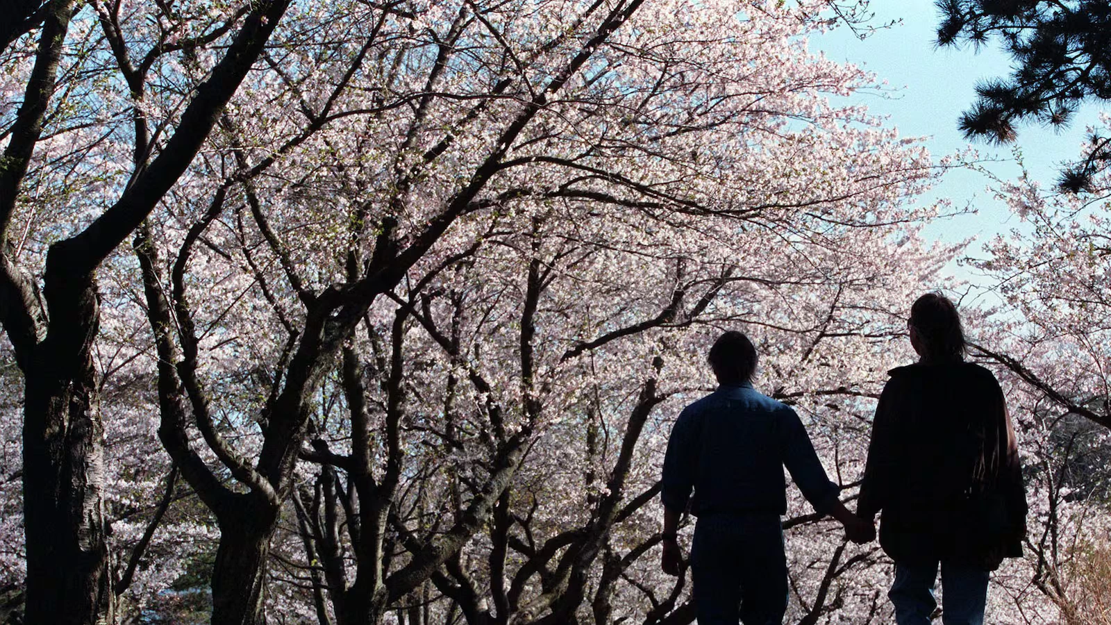 ടൊറന്റോയിൽ 6°C വരെ താപനില താഴുമെന്ന് കാലാവസ്ഥ വിദഗ്ധർ!