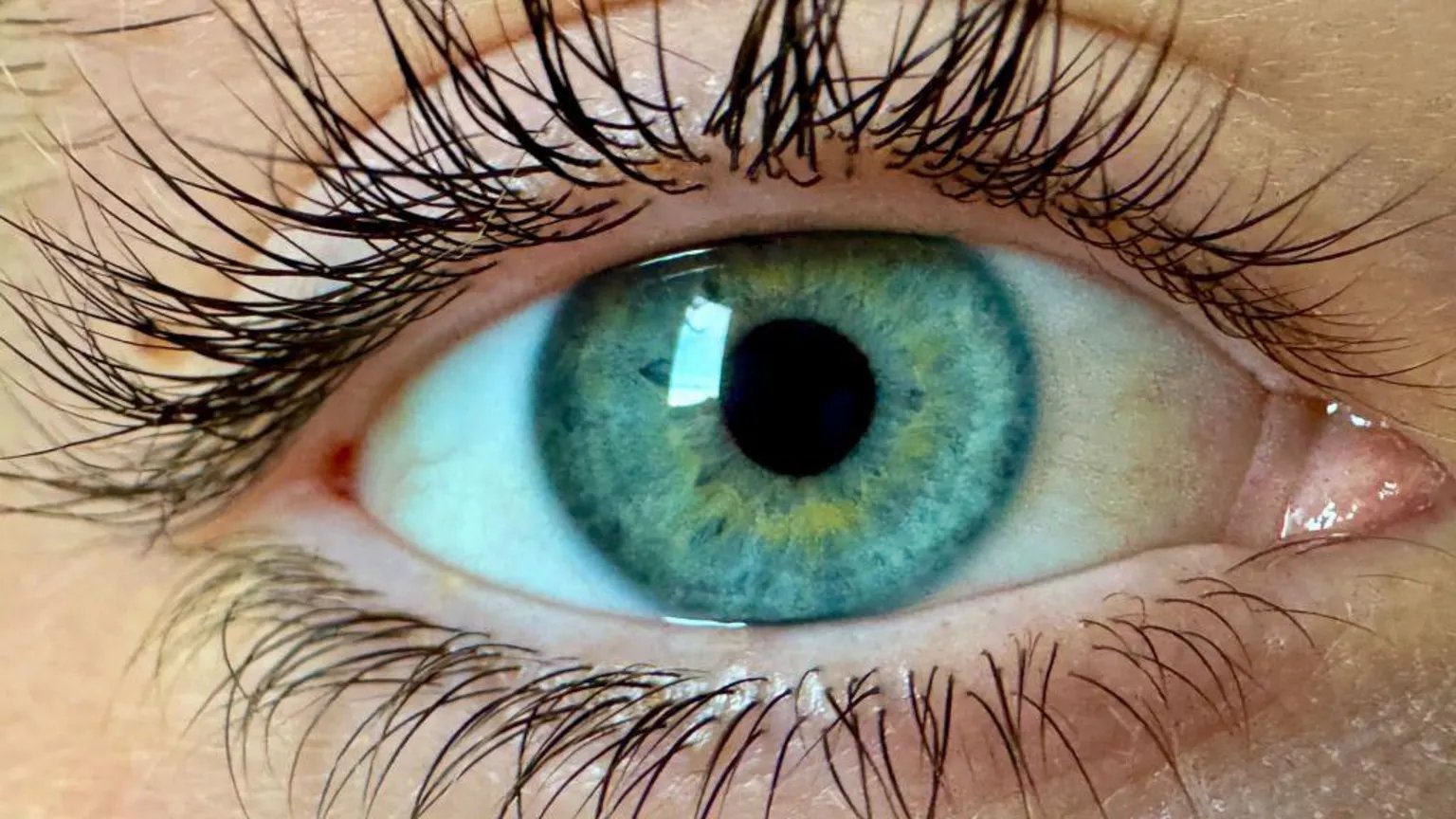 മനുഷ്യൻ ഇതുവരെ കാണാത്ത പുതിയ നിറം “ഓലോ” കണ്ടെത്തി യു എസ് ഗവേഷകർ