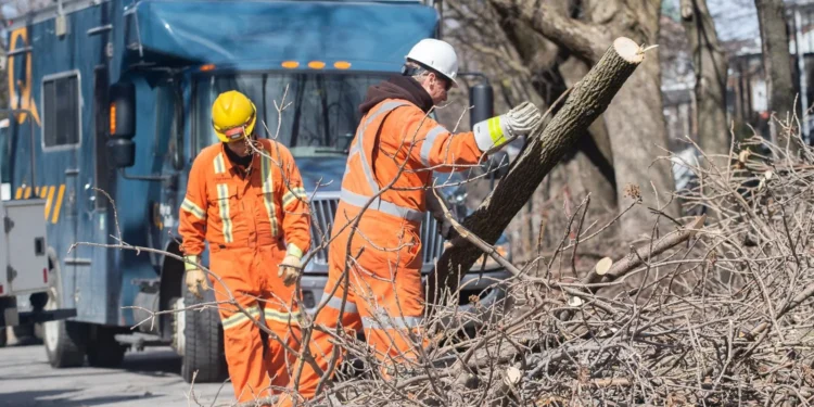 മഞ്ഞുവീഴ്ചയ്ക്കുശേഷം ഒന്റാരിയോയിൽ വൈദ്യുതി തടസ്സം കുറയുന്നു 1 മഞ്ഞുവീഴ്ചയ്ക്കുശേഷം ഒന്റാരിയോയിൽ വൈദ്യുതി തടസ്സം കുറയുന്നു