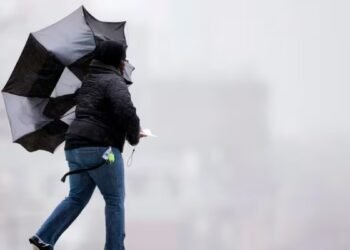 കാലാവസ്ഥാ മുന്നറിയിപ്പ്: വടക്കുകിഴക്കൻ നോവ സ്കോഷ്യയിലും കേപ് ബ്രെറ്റണിലും കാറ്റിനും മഞ്ഞുവീഴ്ചയ്ക്കും സാധ്യത