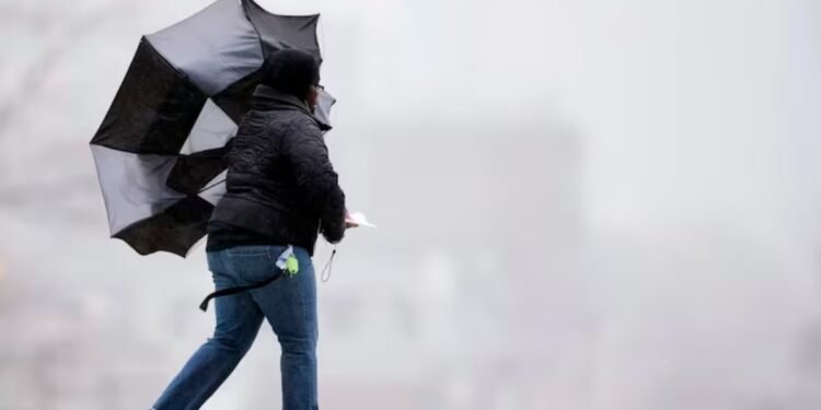 കാലാവസ്ഥാ മുന്നറിയിപ്പ്: വടക്കുകിഴക്കൻ നോവ സ്കോഷ്യയിലും കേപ് ബ്രെറ്റണിലും കാറ്റിനും മഞ്ഞുവീഴ്ചയ്ക്കും സാധ്യത