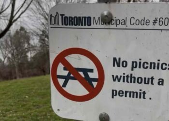 പിക്‌നിക്കിന് അനുമതി വേണോ ? ടൊറന്റോ പാർക്ക് ചട്ടങ്ങളിൽ മാറ്റം ആവശ്യപ്പെട്ട് ജോഷ് മാത്‌ലോവ്