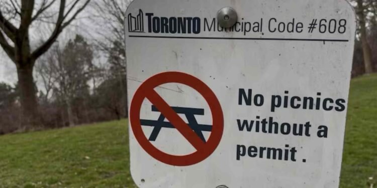 പിക്‌നിക്കിന് അനുമതി വേണോ ? ടൊറന്റോ പാർക്ക് ചട്ടങ്ങളിൽ മാറ്റം ആവശ്യപ്പെട്ട് ജോഷ് മാത്‌ലോവ്