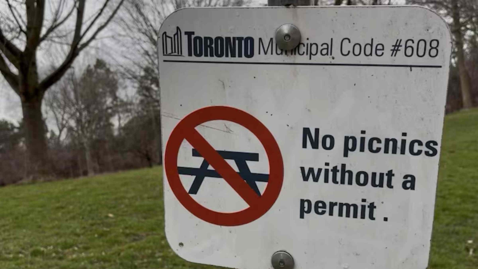പിക്‌നിക്കിന് അനുമതി വേണോ ? ടൊറന്റോ പാർക്ക് ചട്ടങ്ങളിൽ മാറ്റം ആവശ്യപ്പെട്ട് ജോഷ് മാത്‌ലോവ്