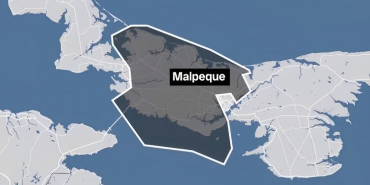 മാൽപെക്ക് മണ്ഡലത്തിലെ ബാലറ്റുകളിൽ ഒരു സ്ഥാനാർത്ഥിയുടെ പേര് മാത്രം? 1 മാൽപെക്ക് മണ്ഡലത്തിലെ ബാലറ്റുകളിൽ ഒരു സ്ഥാനാർത്ഥിയുടെ പേര് മാത്രം?