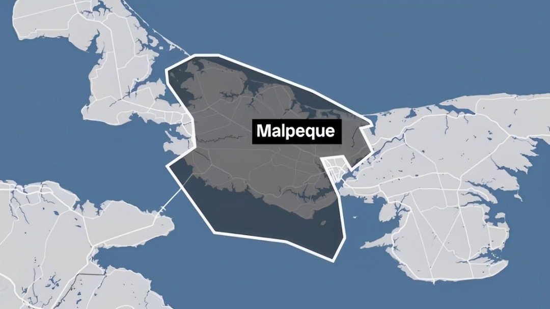 മാൽപെക്ക് മണ്ഡലത്തിലെ ബാലറ്റുകളിൽ ഒരു സ്ഥാനാർത്ഥിയുടെ പേര് മാത്രം?