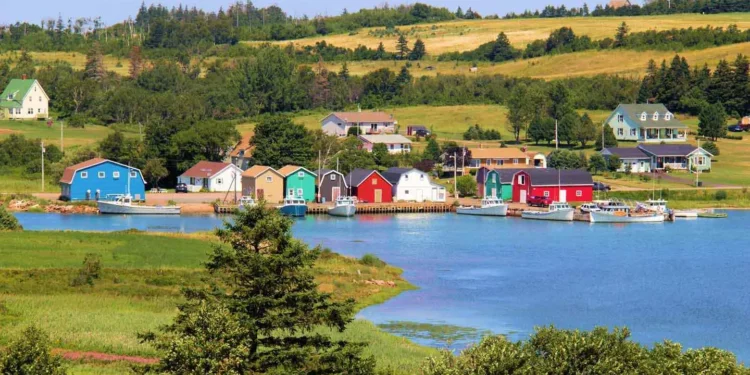 പ്രിൻസ് എഡ്വേർഡ് ഐലൻഡിൽ നാലാമത്തെ PNP ഡ്രോ; മുൻഗണന ആർക്കൊക്കെ? 1 പ്രിൻസ് എഡ്വേർഡ് ഐലൻഡിൽ നാലാമത്തെ PNP ഡ്രോ; മുൻഗണന ആർക്കൊക്കെ?