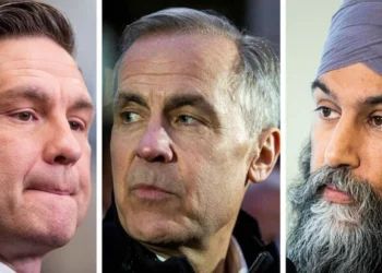 നികുതി വെട്ടിപ്പുകാർക്കെതിരെ ശക്തമായ നടപടിയുമായി പോളിയേവ്