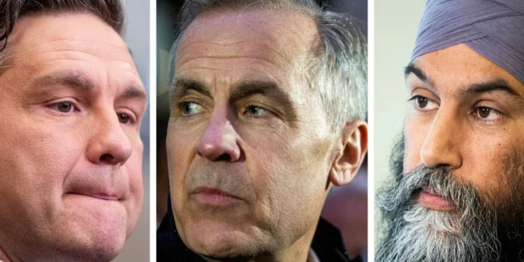 നികുതി വെട്ടിപ്പുകാർക്കെതിരെ ശക്തമായ നടപടിയുമായി പോളിയേവ് 1 നികുതി വെട്ടിപ്പുകാർക്കെതിരെ ശക്തമായ നടപടിയുമായി പോളിയേവ്