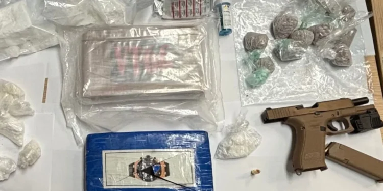 ടൊറന്റോയിൽ വൻ മയക്കുമരുന്ന് വേട്ട