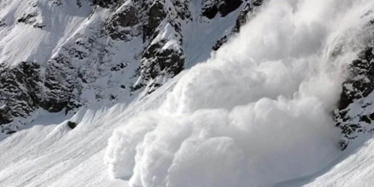 വെസ്റ്റേൺ കാനഡയിൽ ചൂട് ഉയരുന്നു 1 വെസ്റ്റേൺ കാനഡയിൽ ചൂട് ഉയരുന്നു