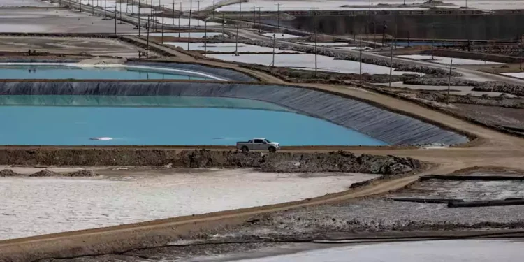 whatsapp image 2025 04 19 at 114346 pm 6803eaa72e018