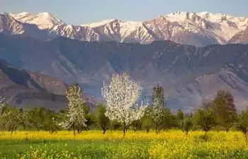 പഹൽഗാം ഭീകരക്രമണം : കശ്മീരിലേക്കുള്ള 90% ടൂറിസ്റ്റ് ബുക്കിങ്ങുകളും റദാക്കി 10 പഹൽഗാം ഭീകരക്രമണം : കശ്മീരിലേക്കുള്ള 90% ടൂറിസ്റ്റ് ബുക്കിങ്ങുകളും റദാക്കി