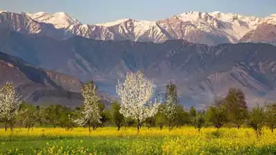 പഹൽഗാം ഭീകരക്രമണം : കശ്മീരിലേക്കുള്ള 90% ടൂറിസ്റ്റ് ബുക്കിങ്ങുകളും റദാക്കി 1 പഹൽഗാം ഭീകരക്രമണം : കശ്മീരിലേക്കുള്ള 90% ടൂറിസ്റ്റ് ബുക്കിങ്ങുകളും റദാക്കി