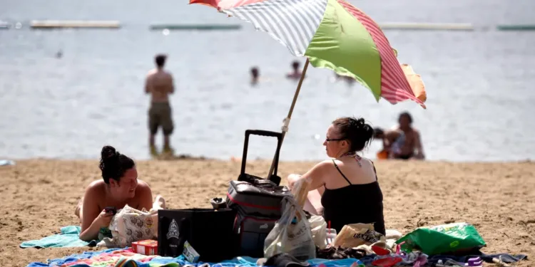 beach resting people
