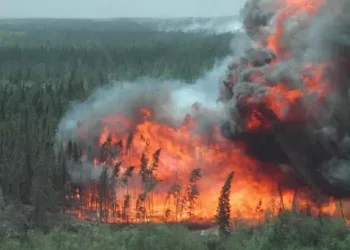 ആൽബെർട്ടയിൽ വൻ കാട്ടുതീ ദുരന്തം : ഫയർഫൈറ്റർമാർ തീ വളയത്തിൽ കുടുങ്ങി