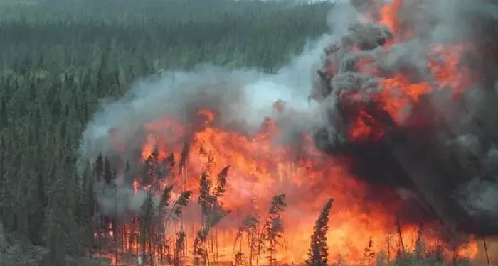 ആൽബെർട്ടയിൽ വൻ കാട്ടുതീ ദുരന്തം : ഫയർഫൈറ്റർമാർ തീ വളയത്തിൽ കുടുങ്ങി 1 ആൽബെർട്ടയിൽ വൻ കാട്ടുതീ ദുരന്തം : ഫയർഫൈറ്റർമാർ തീ വളയത്തിൽ കുടുങ്ങി