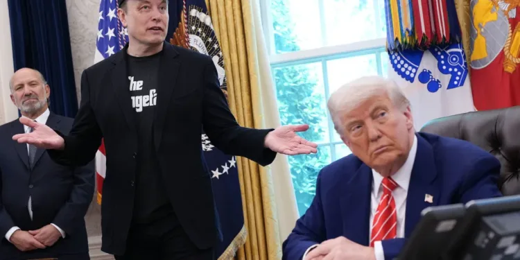 Musk blasts Trumps